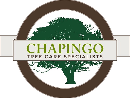 Chapingo Tree Care