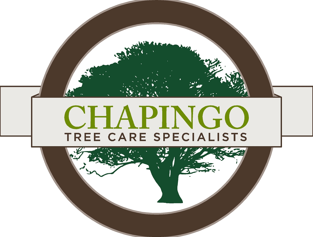 Chapingo Tree Care Specialists. Proudly serving the Washington DC metro area.