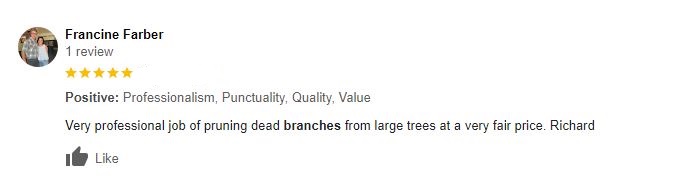 A positive client review about Chapingo Tree Care Specialists about friendly, professional work and pruning dead branches.