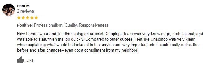 A positive client review about Chapingo Tree Care Specialists about friendly, professional work, job estimating, and careful tree removal.