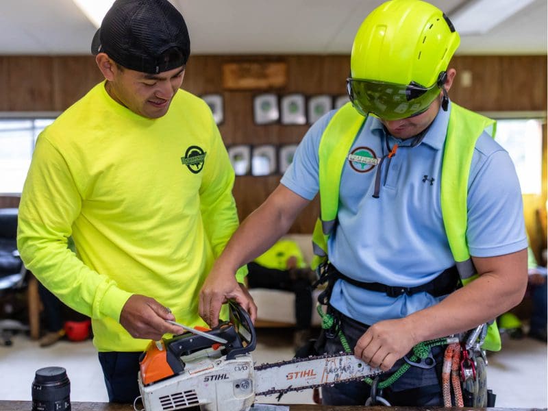 Two men working on a chainsaw, one in bright yellow and the other in blue with safety gear.