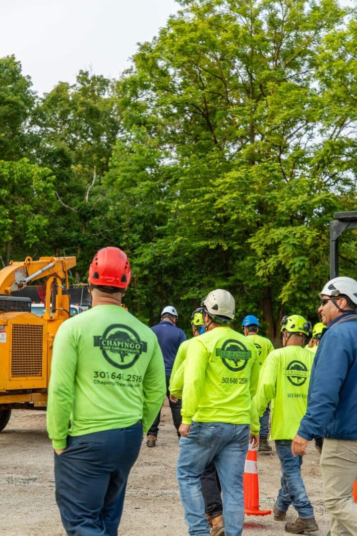 Workers in safety gear gather near construction equipment in a green, wooded area.