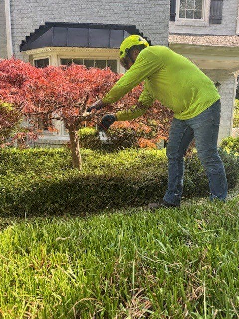 Person trimming bushes in a garden wearing a neon green hoodie.