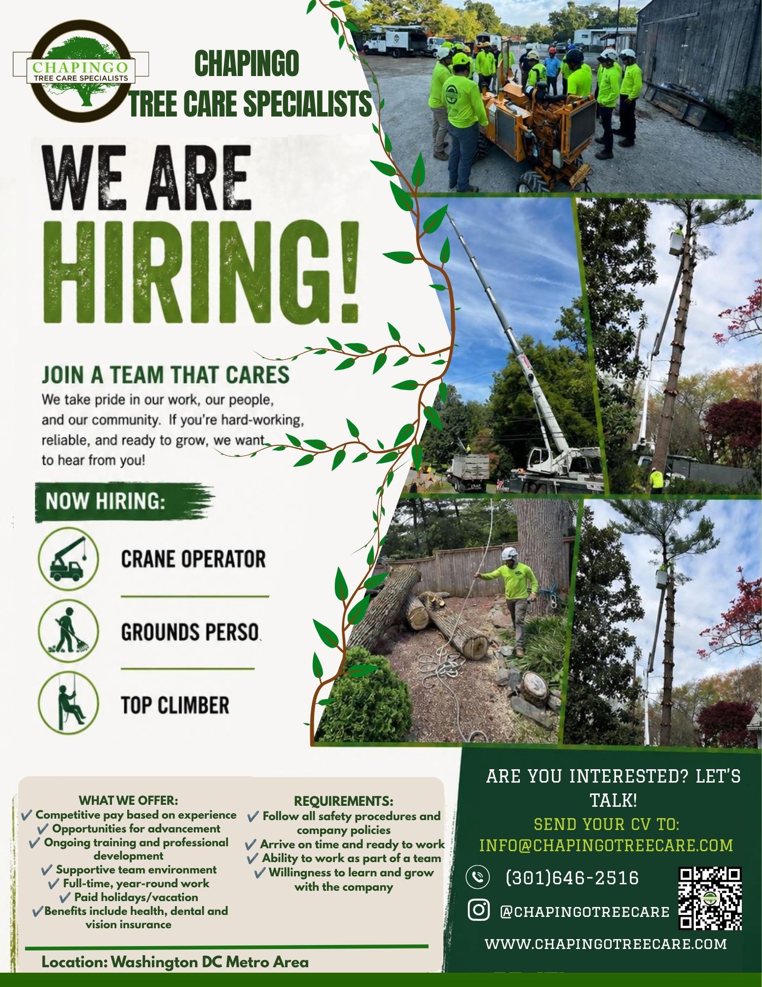 Green_Modern_Gardening_Service_Flyer_1-20260619113006